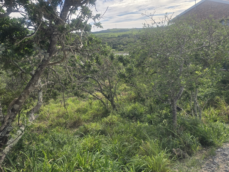 0 Bedroom Property for Sale in Bathurst Rural Eastern Cape